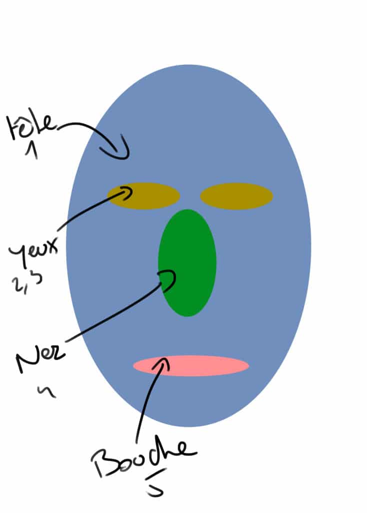 Les cinq formes de la tête