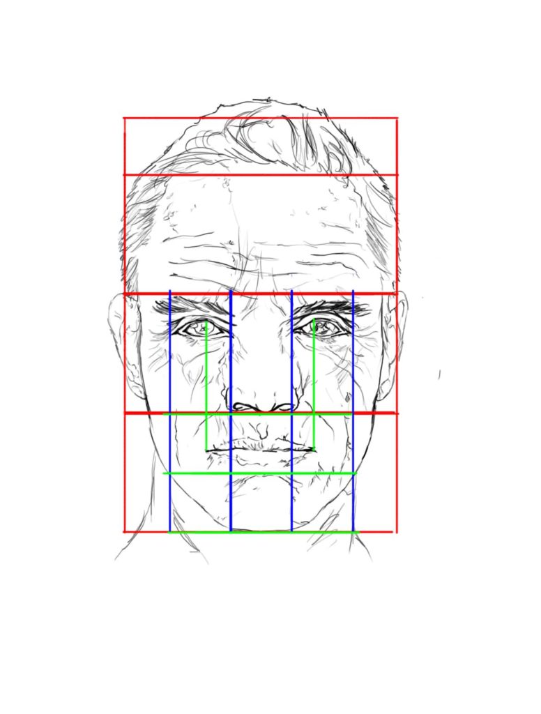 Les proportions classique de la tête. dessin d'un portrait d'homme qui représente les proportions de la tête