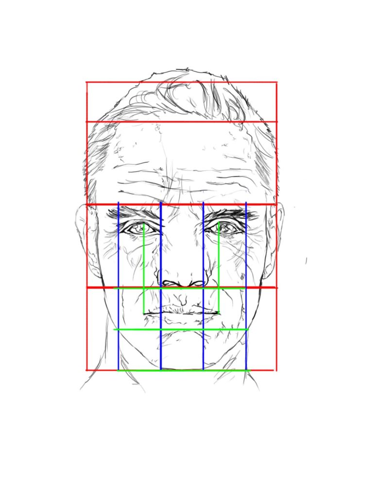 Les proportions classique de la tête