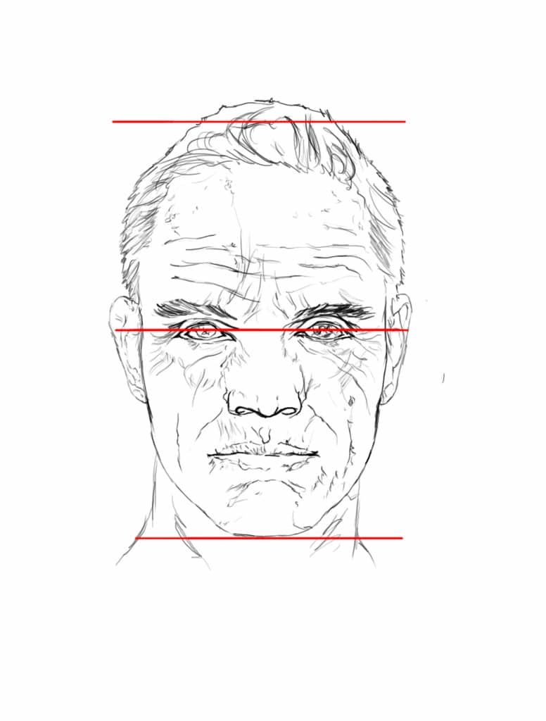 Les proportions classique de la tête